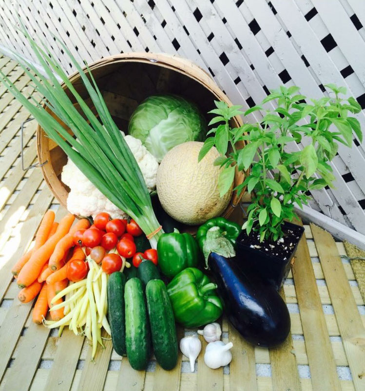 panier de la semaine